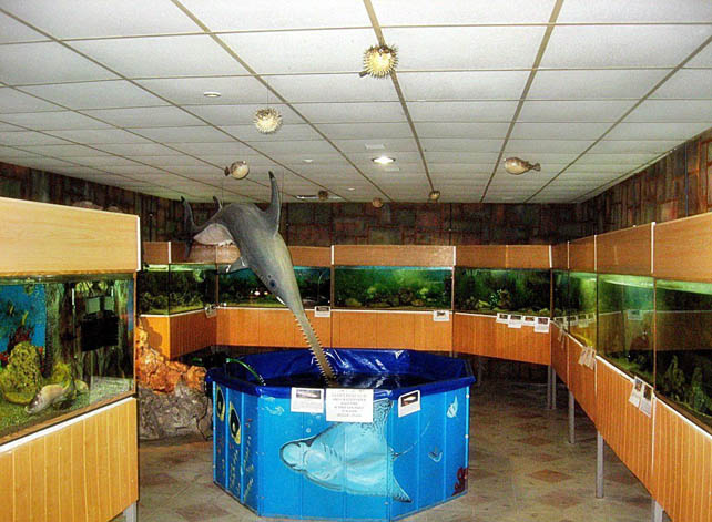 Черноморский аквариум в Николаевке